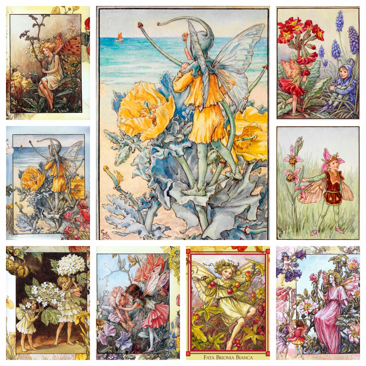 Cicely Mary Barker Artwork Flo - Photo Mosaic Print ulasan dan harga